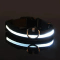 Led Dog Collar