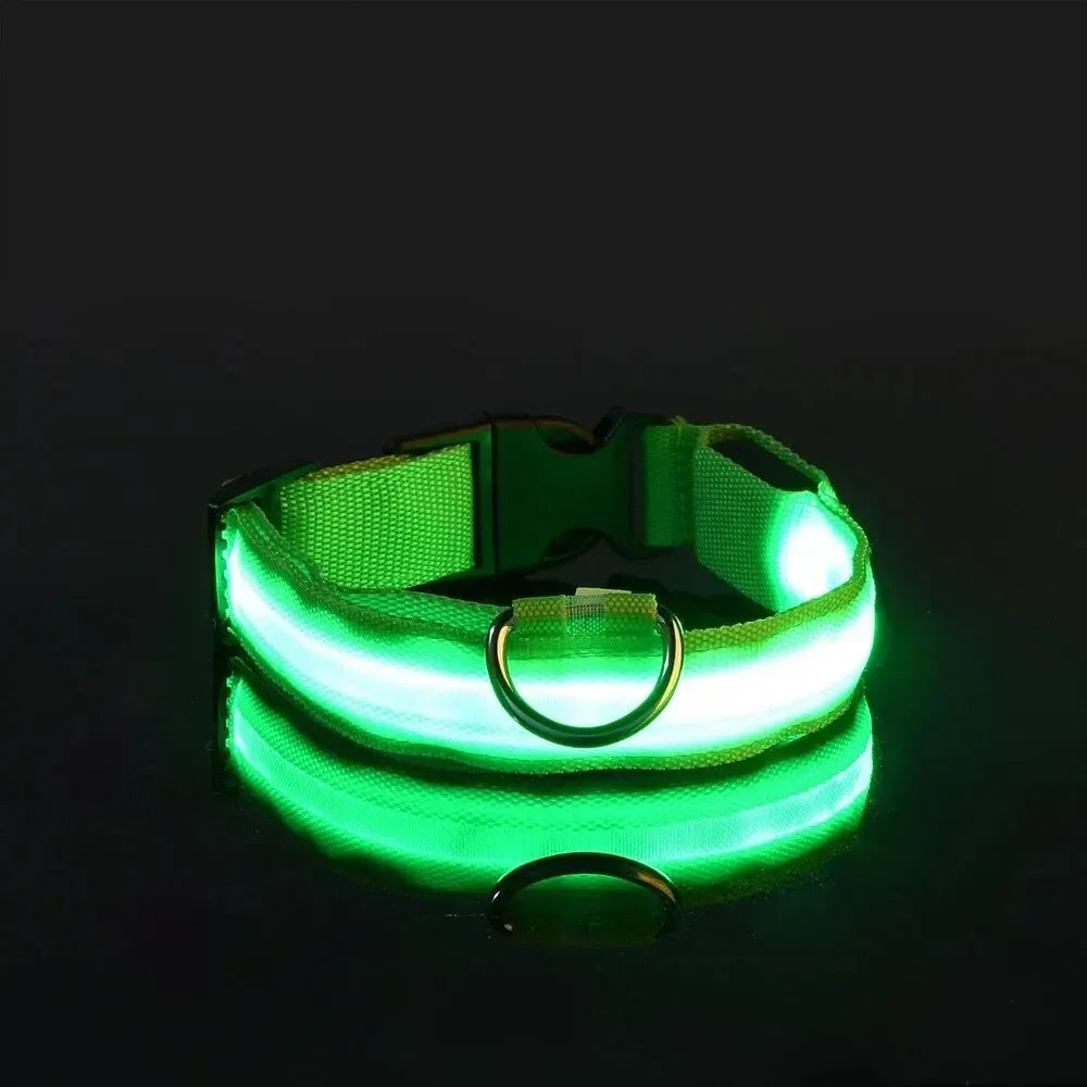 Collare NightGlow