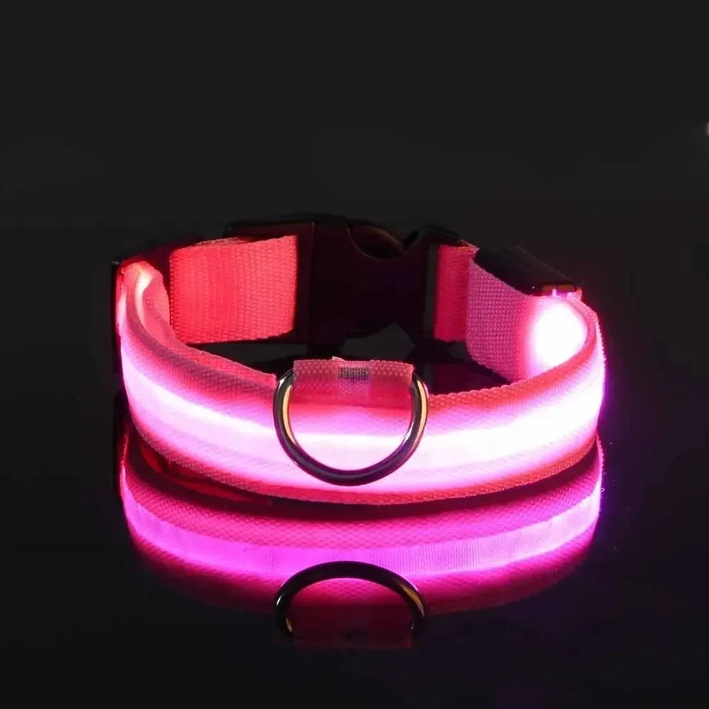 Collare NightGlow