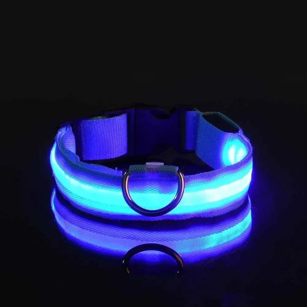 Collare NightGlow