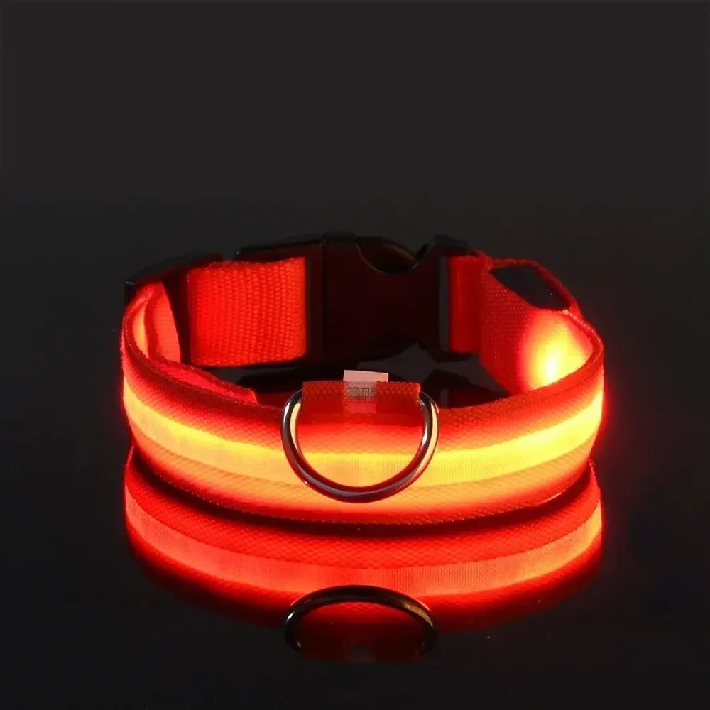 Collare NightGlow